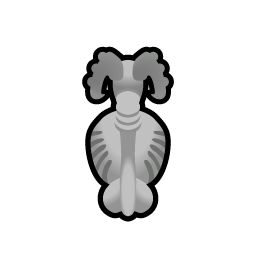 File:Dessicated SheepMale north.png