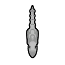 File:Dessicated MonitorLizard south.png