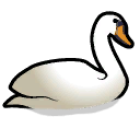File:SwimmingSwan east.png