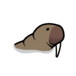 File:Swimming Walrus east.png
