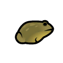 Bullfrog