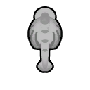 File:Dessicated Seal north.png