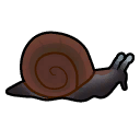 Lava snail