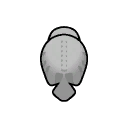 File:Dessicated Panda north.png