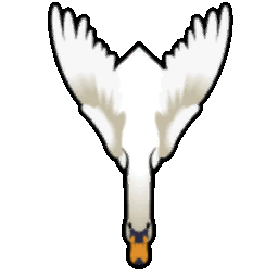 File:Swan Flying south.gif