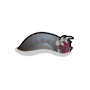 File:Swimming Devourer east.png