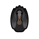 File:Vulture south.png