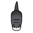 File:Otter south.png