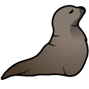Sea lion