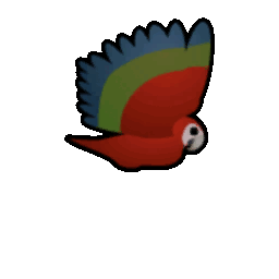 File:Macaw Flying east.gif