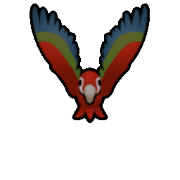 File:Macaw Flying south.gif
