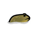 File:SwimmingBullfrog east.png