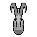 File:Dessicated IbexMale south.png