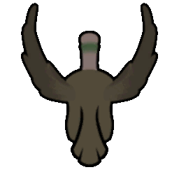 File:PeacockFemale Flying north.gif