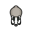 File:Badger south.png