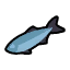 Bluefish a.png