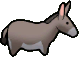 Donkey