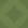 Fine Carpet 31 Swamp Green.png