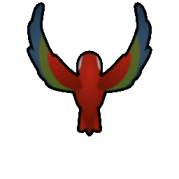 File:Macaw Flying north.gif