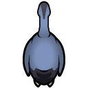 File:Heron north.png