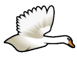 File:Swan Flying east.gif
