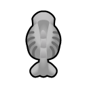 File:Dessicated Pig north.png