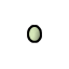 Duck egg (fert.)