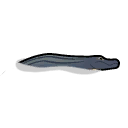File:SwimmingAlligator east.png