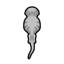 File:Dessicated Tiger north.png