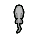 File:Dessicated PrairieDog north.png