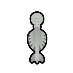 File:Dessicated GoatFemale north.png