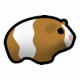 Guinea pig 3 east.png