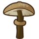 TimbershroomC.png