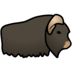 Muskox
