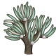 Anima tree a.png