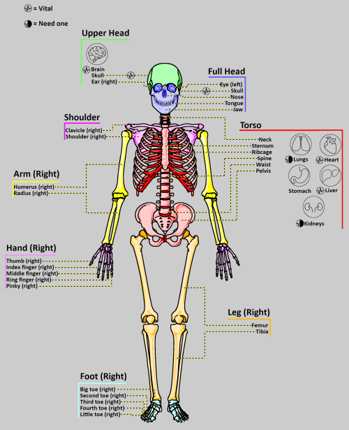 Anatomy of the pawn.png