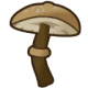 TimbershroomB.png