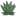 Agave a.png
