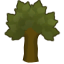 Teak tree a.png