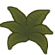 Alocasia a.png