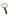 Astragalus b.png