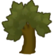 Teak tree b.png