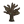 Witchwood tree