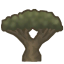 Drago tree.png