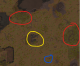 Basics starter location.png