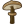 Timbershroom