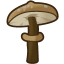 Timbershroom.png