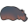 Hippo