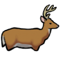 DeerMale.png