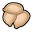 Gauranlen seed c.png